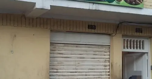PLATANOS ARMENIA LOS PAISAS BOGOTÁ PLATANOS ARMENIA LOS PAISAS BOGOTÁ